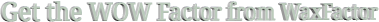Footer Image